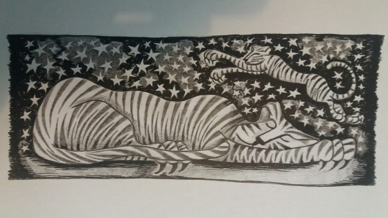 sleeping Tiger_resized